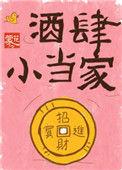 酒当家全部作品