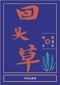 回头草by