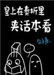 皇上看的奏折叫什么
