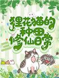狸花猫太帅了