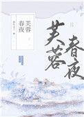 芙蓉春晓属于什么档次