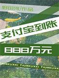 支付宝到账800元试听