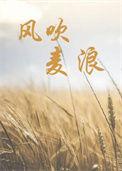 风吹麦浪见人心