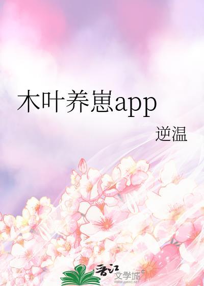 木叶的养子安装包