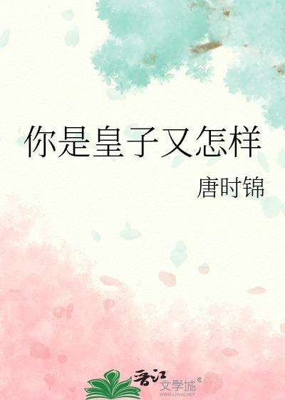 你是皇子又怎样by唐时锦百度