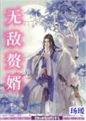 无敌赘婿玚瑷免费阅读