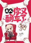 夫人你又翻车了TXT