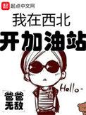 我在西北开加油站 笔趣阁