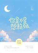 你是不是想赖账全文免费TXT