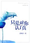 只是对你认了真 完整