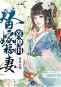 替嫁甜夫by免费
