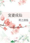 宠妻成瘾全集