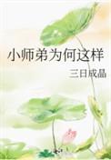 小师弟为何那样TXT百度