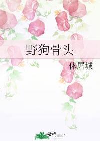 野狗骨头电视免费观