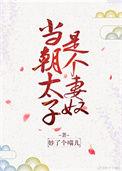 太子当皇上的男宠