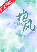 抱风txt