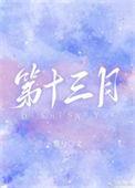 第十三个