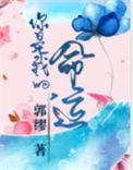 你是我的命运无删减