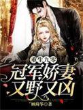 重生九零娇妻