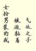 女扮男装但被抢娶txt