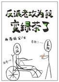 反派为攻