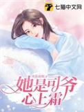 司爷闪婚全文阅读