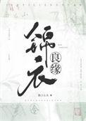 锦衣良缘讲的什么
