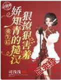 糙汉知青宠妻