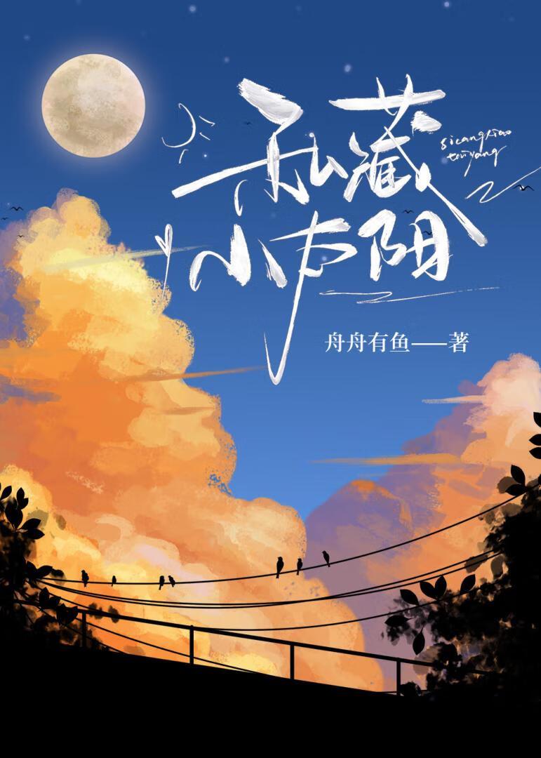 小太阳私人订制