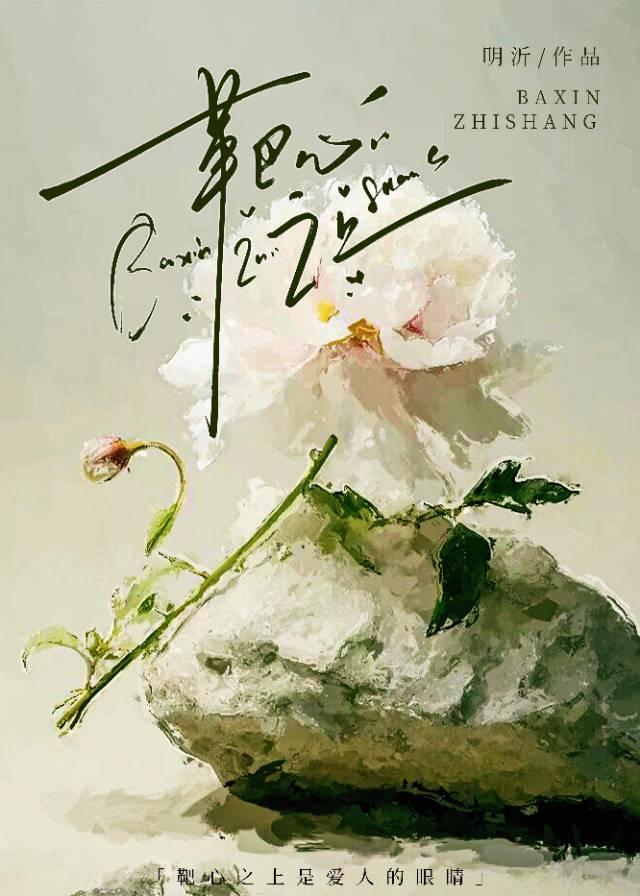 靶心印度电影国语在线看