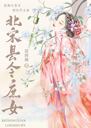 北宋县令庶女内容