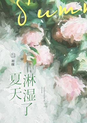 夏天淋湿了免费阅读