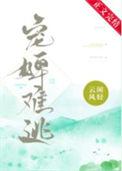 宠婢难逃 原著