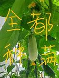 我把修仙界上交