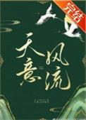 天意风流讲的什么