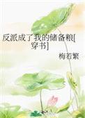 反派们都成了我的备胎全文TXT