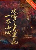 一不小心攻略了黑莲花男主父母怎么回事