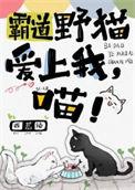 霸道总裁猫咪