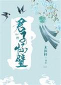 君子怀璧无删减在线阅读