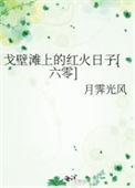 戈壁滩的夜晚