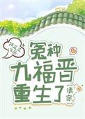清穿之九福晋的土豪全文免费阅读