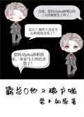 霸总他又被离婚了全木免费