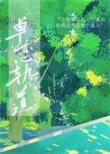 单恋轨道的阅读人数