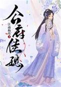 公府佳媳讲的啥