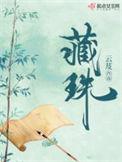 藏珠目录