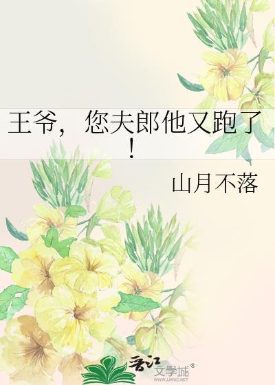 王爷您夫郎他又跑了txt山月不落
