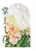 掌上飞花未删减