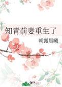 知青前妻重生了讲的什么故事