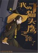 我的猫头鹰迷路了的作者是谁