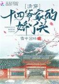 清穿十四爷的娇宠日常